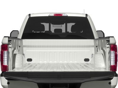 2017 Ford Super Duty F-250 SRW Platinum