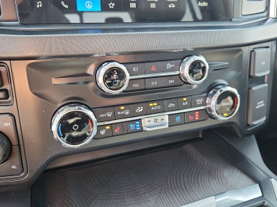 2025 Ford Super Duty F-250 SRW Platinum