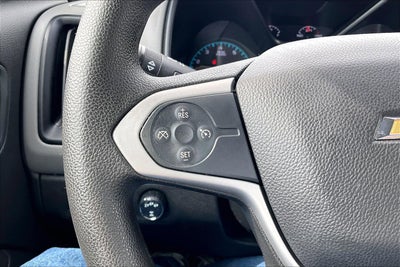 2019 Chevrolet Colorado 4WD Work Truck