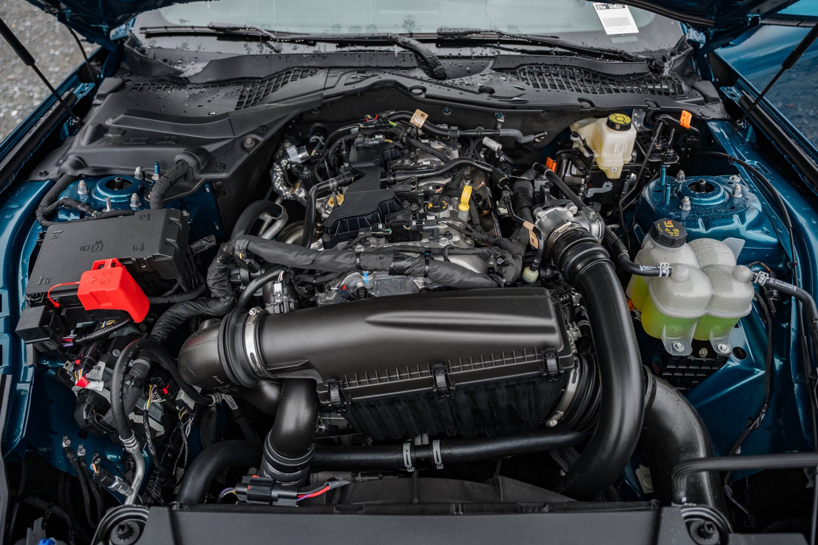 2026 Ford Mustang EcoBoost