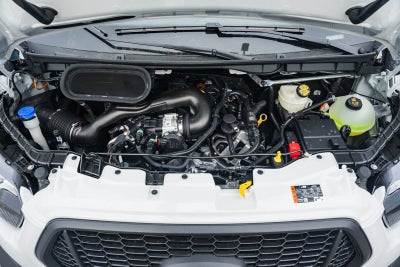 2026 Ford Transit Cargo Van 250