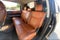 2019 Toyota Tundra 4WD Base