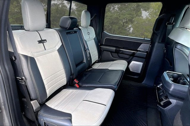 2023 Ford F-150 Lightning Platinum