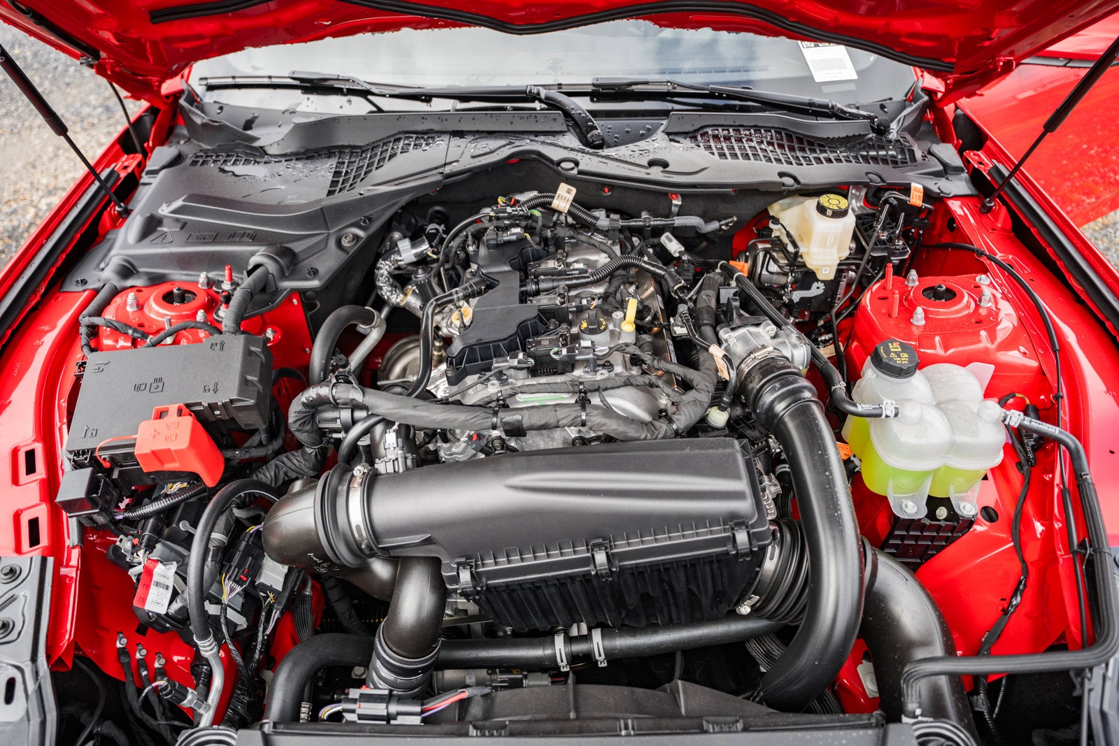 2026 Ford Mustang EcoBoost