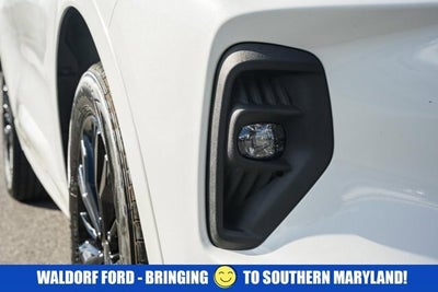 2024 Ford Escape ST-Line Elite