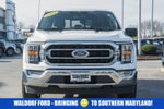 2023 Ford F-150 4WD