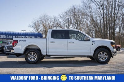 2024 Ford F-150 XLT